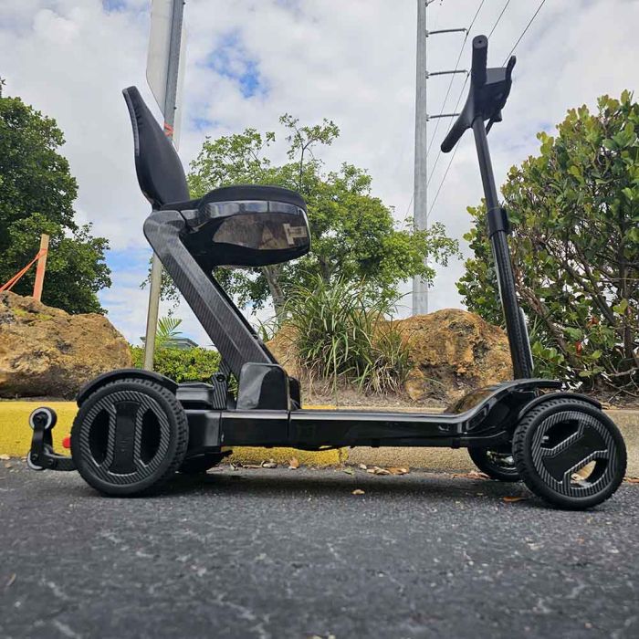 Go Go® Carbon Scooter